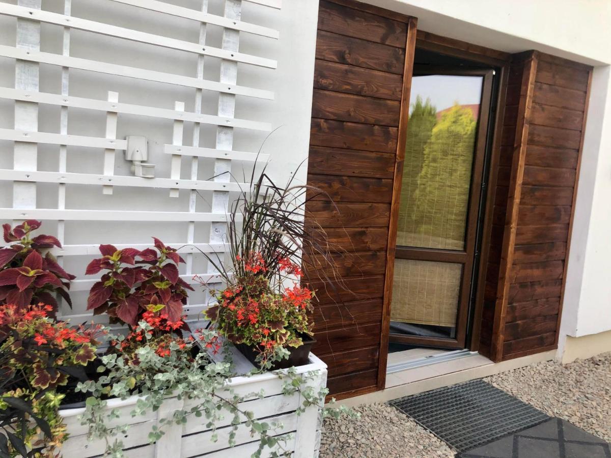 Apartament Studio I Apartament Zadomek Spytkowice Kolo Zatora ภายนอก รูปภาพ